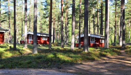Två röda campingstugor står mellan stora tallar